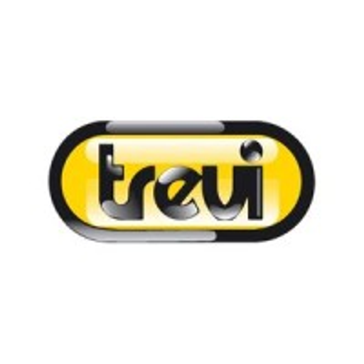 TREVI