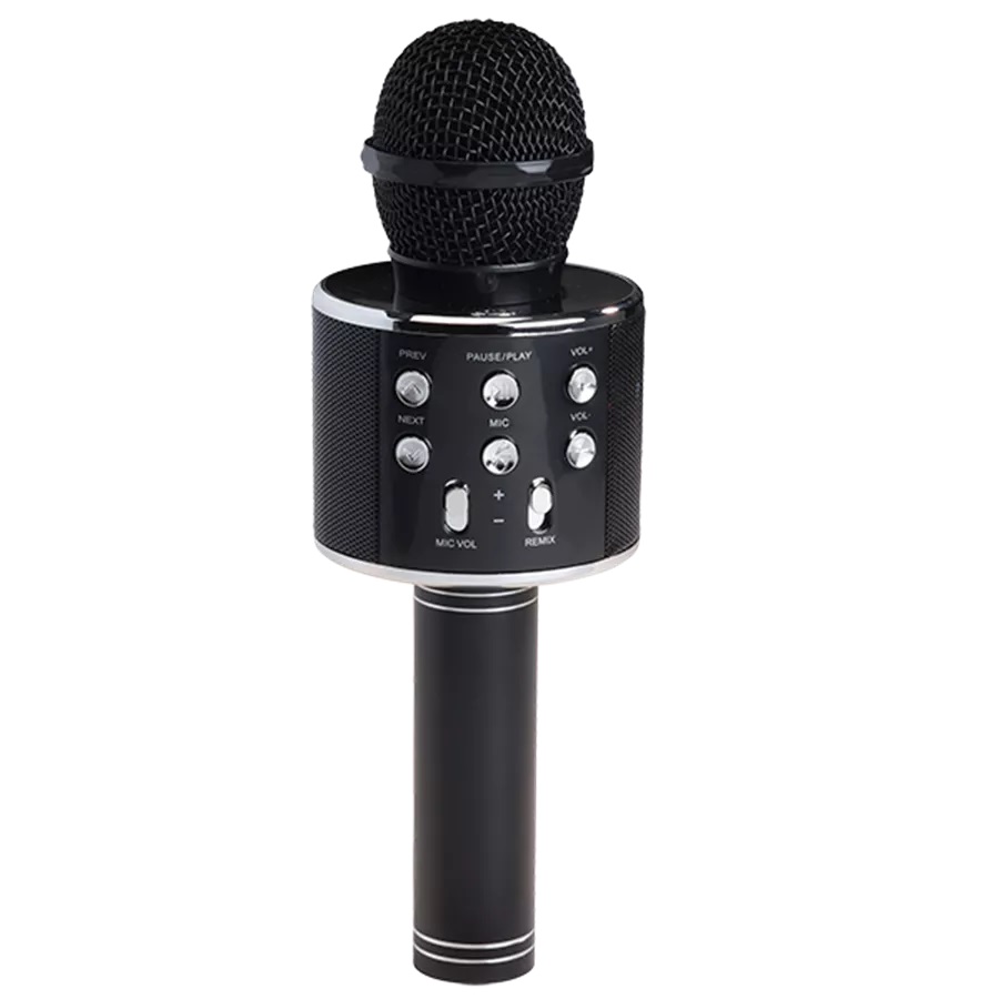 Microphone Bluetooth Karaoke Denver w/BT, Speaker & microSD Card Black