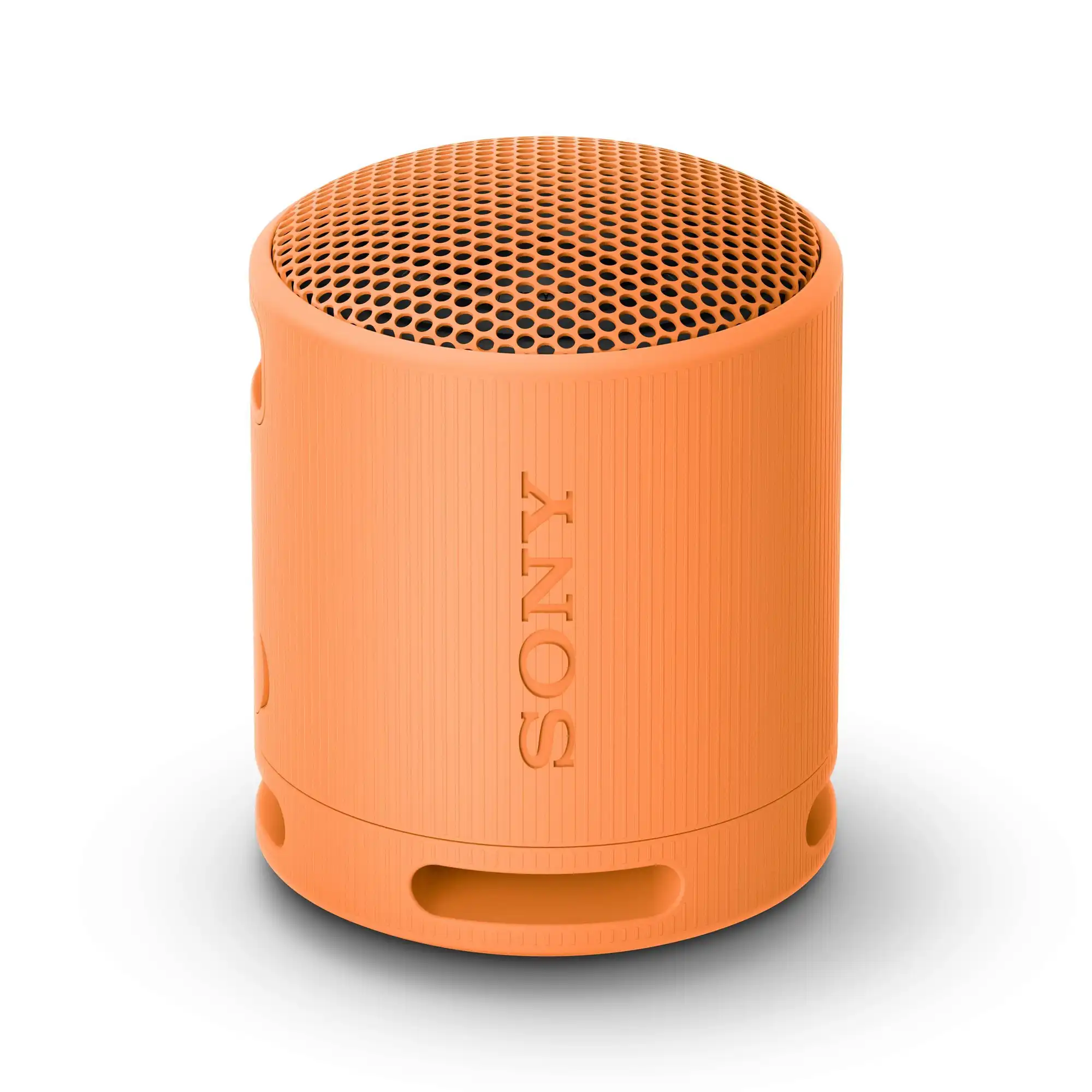 SONY SRSXB100D.CE7