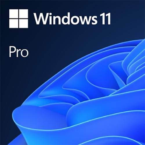 Windows 11 Pro 64-bit OEM DVD FQC-10529