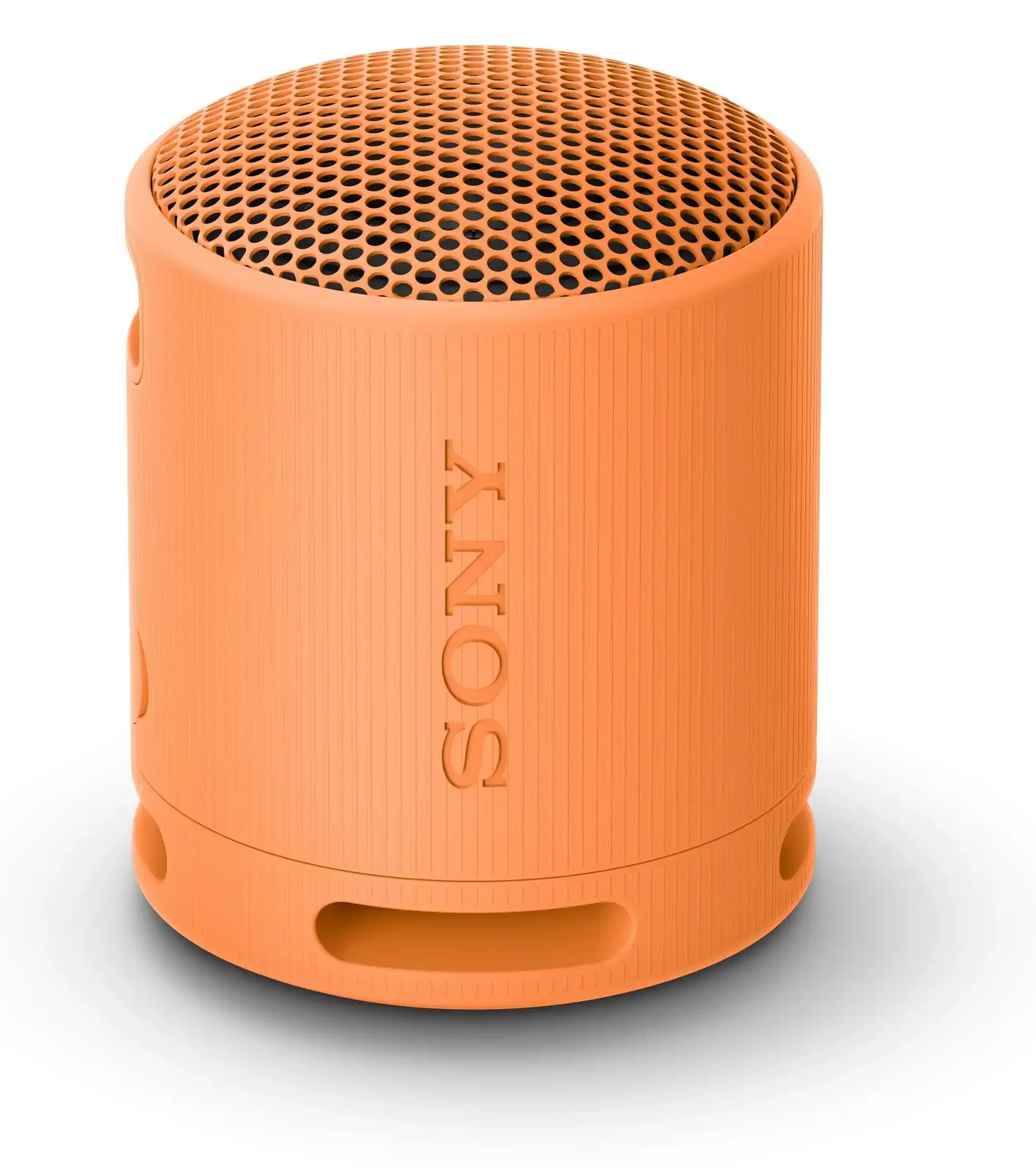 Звучник SONY SRSXB100D.CE7